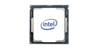 Intel 300T 3.4GHz Επεξεργαστής 2 Πυρήνων Socket 1700 Box