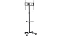 Gembird TVS-55T-03 Βάση Τηλεόρασης Δαπέδου έως 55 Μαύρο
