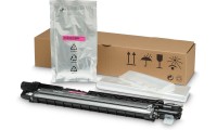 HP Z7Y82A Γνήσιο Developer Unit Laser Εκτυπωτή Ματζέντα 300000 Σελίδων Z7Y82A