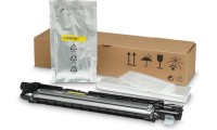 HP Z7Y91A Γνήσιο Developer Unit Laser Εκτυπωτή Κίτρινο 300000 Σελίδων Z7Y91A