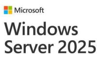 Microsoft Windows 2025 Standard Server 5 User Cals Multi-Language