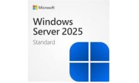 Microsoft Windows 1 Licence Multi-Language