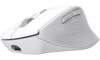 Trust Niven Comfort Multi Ασύρματο Εργονομικό Ποντίκι White