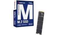 Biostar M760 PCI Express 3.0 NVMe SSD 256GB