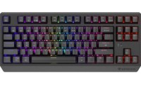Genesis Thor 230 TKL Ασύρματο Gaming Μηχανικό Πληκτρολόγιο Tenkeyless με Outemu Silent Lemon διακόπτες και RGB φωτισμό (Αγγλικό US)