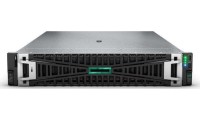 HP PL DL380G11 (Xeon Silver 4514Y/128GB DDR5/No OS)