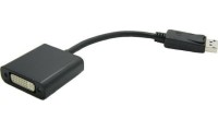 Roline DisplayPort male - DVI-D female