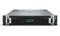 HP ProLiant DL345 Gen11 (EPYC 9124/64GB DDR5/960GB SSD/2000 W/No OS)