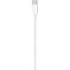 Apple USB 3.1 Cable USB-C male - USB-C male 2m (MLL82ZM/A)