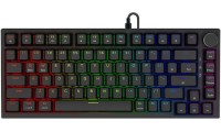 Savio Astral Gaming Πληκτρολόγιο με RGB φωτισμό (Αγγλικό US)