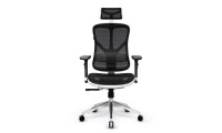 Diablo V-BASIC Ergonomic Chair White-Black