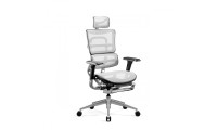 Diablo V-Master Ergonomic Chair Black and White